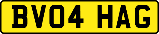 BV04HAG