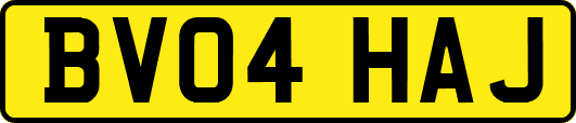 BV04HAJ