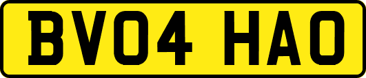 BV04HAO