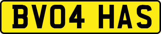 BV04HAS