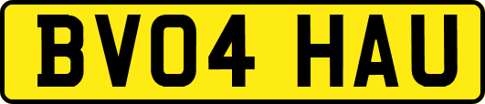BV04HAU