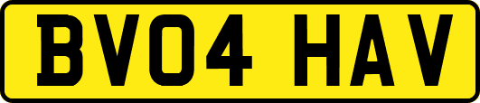BV04HAV