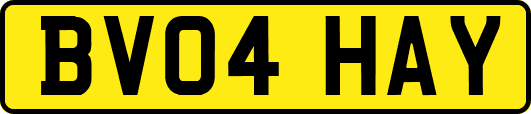 BV04HAY