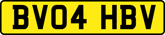 BV04HBV