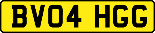 BV04HGG