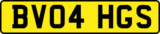 BV04HGS