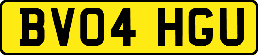 BV04HGU
