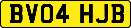 BV04HJB