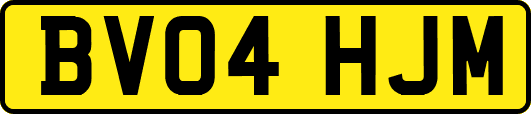 BV04HJM