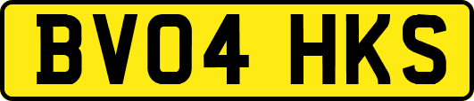 BV04HKS