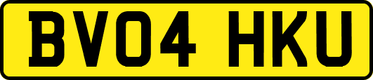 BV04HKU