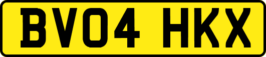 BV04HKX