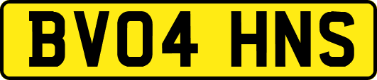 BV04HNS