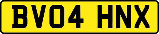 BV04HNX