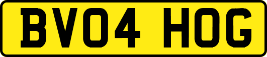 BV04HOG
