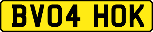 BV04HOK