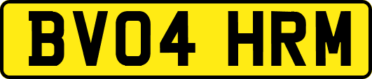 BV04HRM