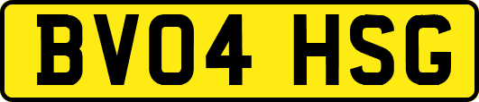 BV04HSG
