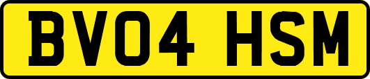 BV04HSM