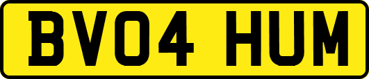 BV04HUM