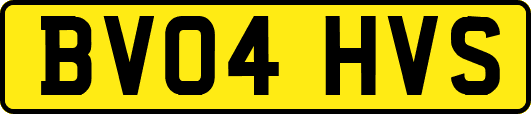 BV04HVS