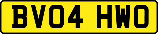 BV04HWO