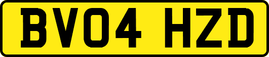 BV04HZD