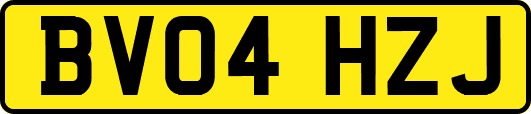 BV04HZJ