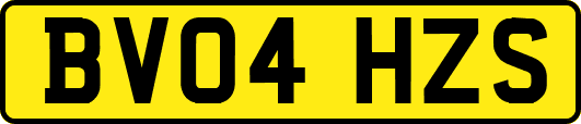 BV04HZS