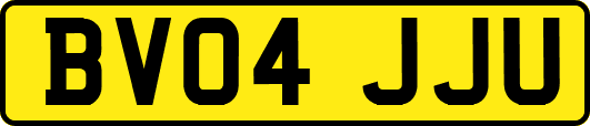BV04JJU