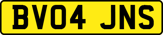BV04JNS