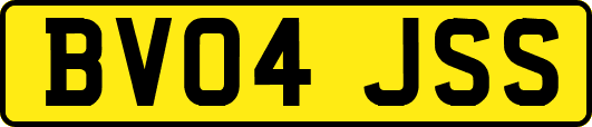 BV04JSS