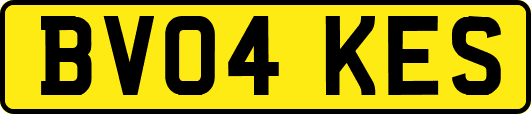 BV04KES