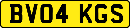 BV04KGS