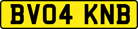 BV04KNB