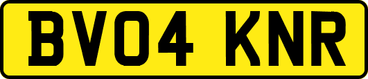 BV04KNR