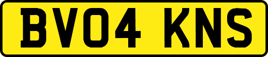 BV04KNS