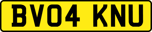 BV04KNU