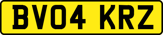 BV04KRZ