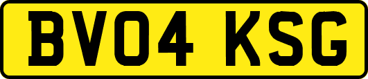 BV04KSG