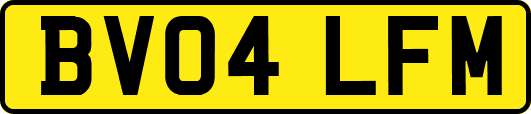 BV04LFM