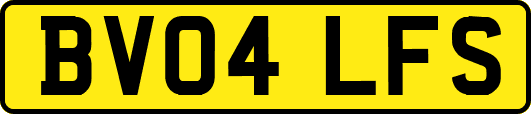 BV04LFS