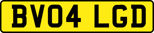 BV04LGD