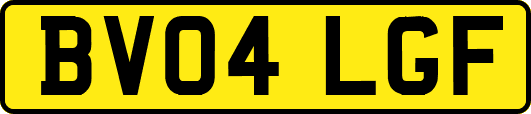 BV04LGF