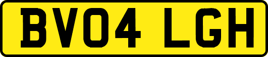 BV04LGH