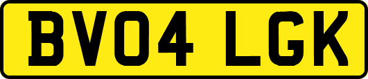 BV04LGK
