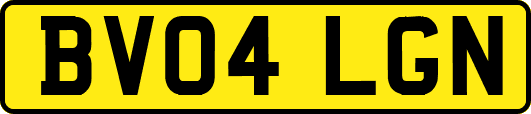 BV04LGN