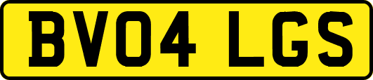 BV04LGS