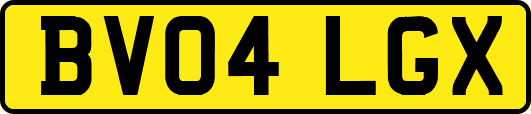 BV04LGX