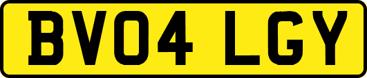 BV04LGY